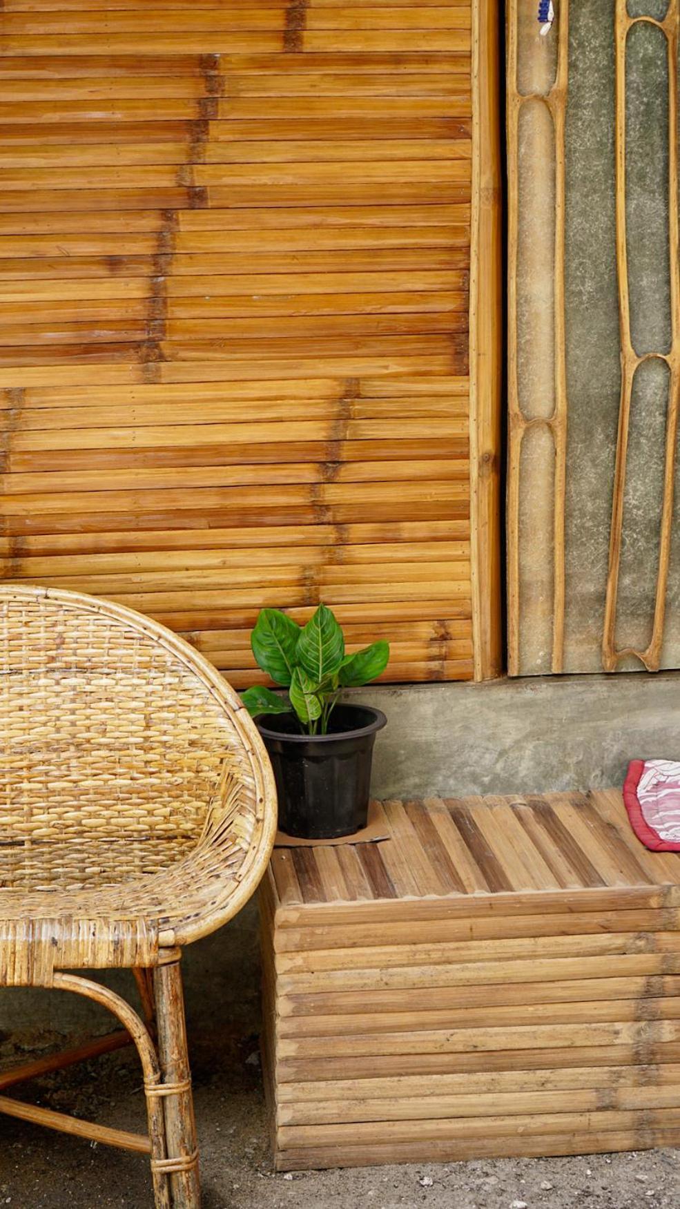 The Backyard Inn モアルボアル エクステリア 写真